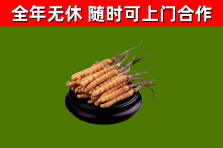 汉寿烟酒回收冬虫夏草.jpg